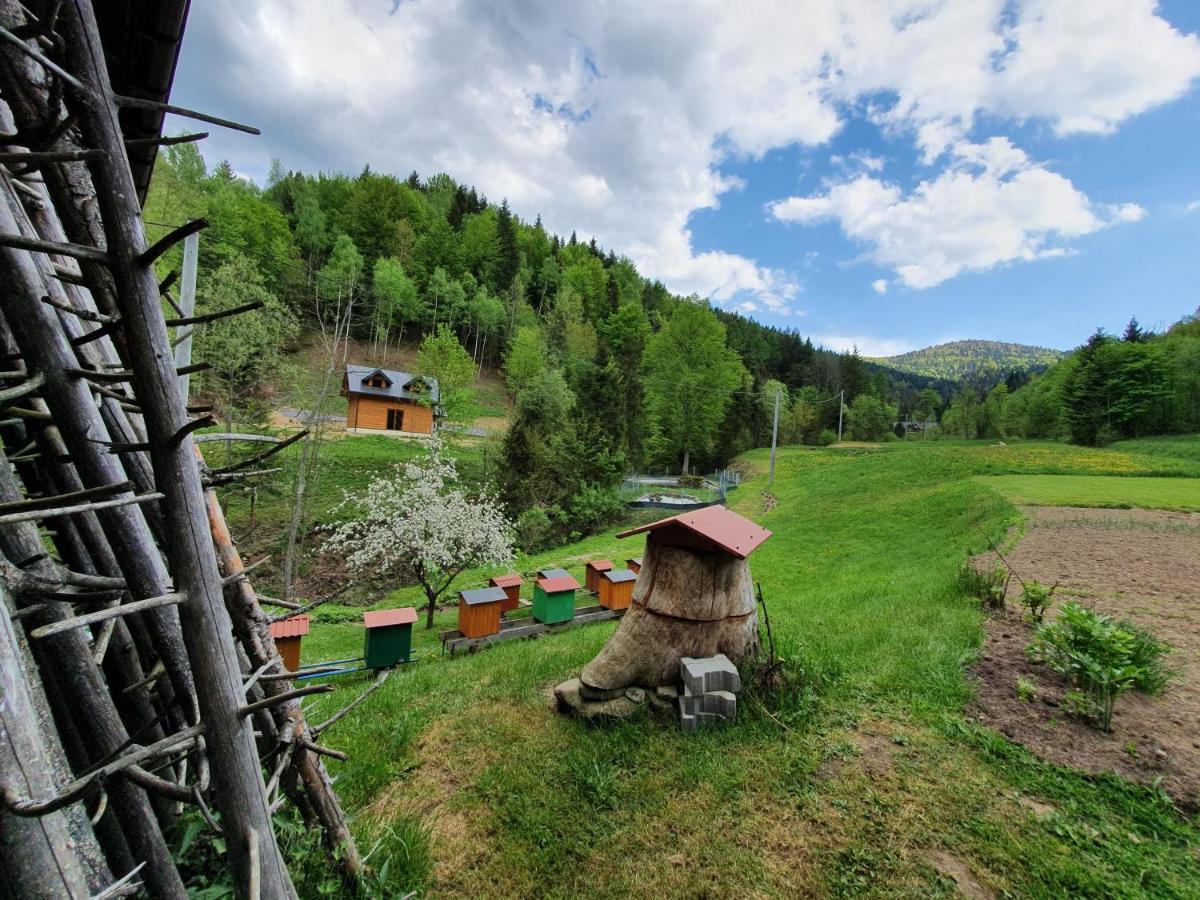 Nad Stawami Holiday home *